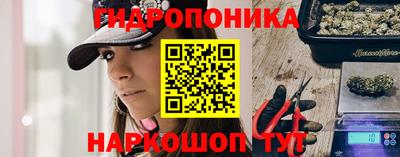 сатива Братск