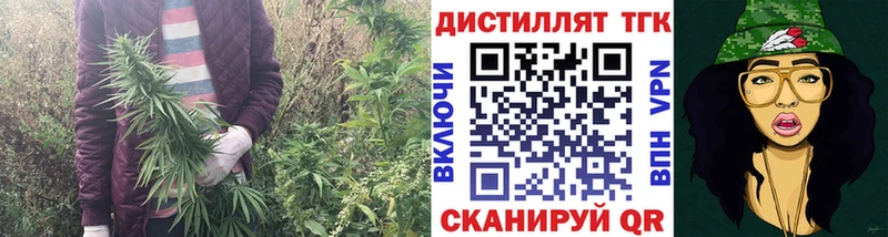 ТГК концентрат  сайты даркнета телеграм  Братск  что такое  