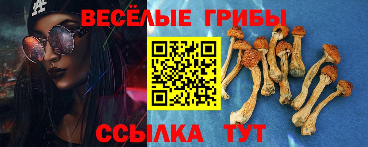 Галлюциногенные грибы MAGIC MUSHROOMS  Вход с VPN  Галлюциногенные грибы ЛСД  Братск 